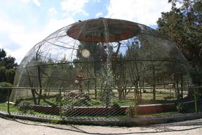 La Paz Zoo - Bird Enclosure